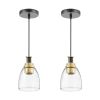 VEVOR Pendant Light 1-Light Pendant Lighting with Glass Shade Adjustable Height