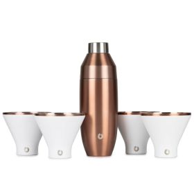Stainless Steel Cocktail Shaker and Martini Glass Set, Gold and White